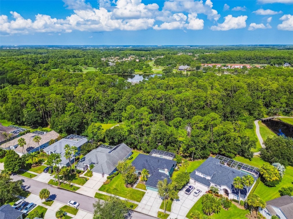 10526 Greencrest Drive Tampa FL 33626 TB8412676 image48