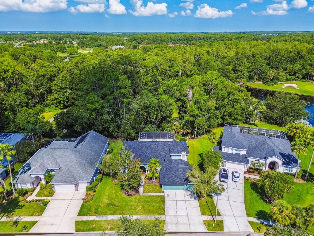 10526 Greencrest Drive Tampa FL 33626 TB8412676 image49