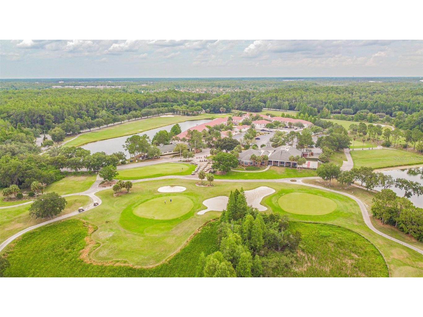 10526 Greencrest Drive Tampa FL 33626 TB8412676 image50