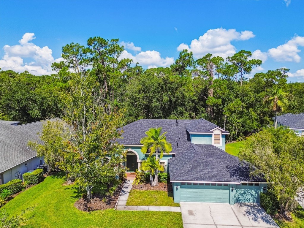 10526 Greencrest Drive Tampa FL 33626 TB8412676 image53