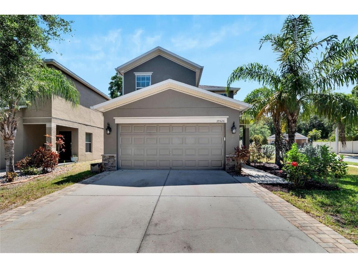 10526 White Peacock Place Riverview FL 33578 T3524564 image1