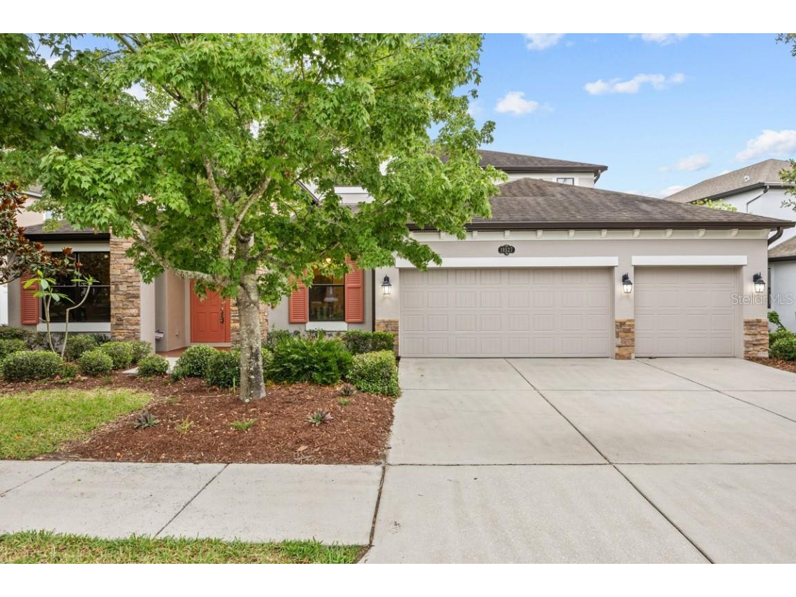 10527 Mistflower Lane Tampa FL 33647 T3520327 image1