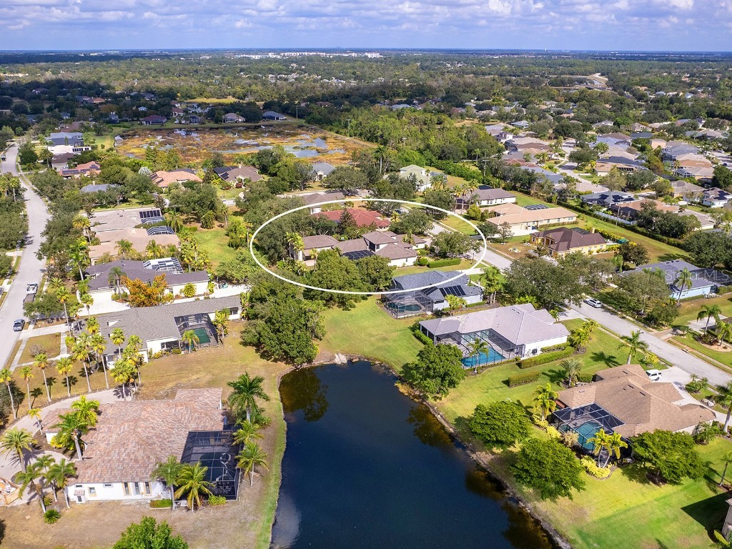 10528 Cheval Place Lakewood Ranch FL 34202 A4670723 image6