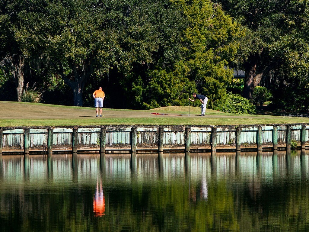 10528 Cheval Place Lakewood Ranch FL 34202 A4670723 image70