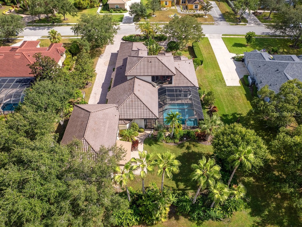 10528 Cheval Place Lakewood Ranch FL 34202 A4670723 image9