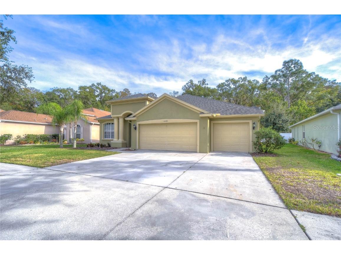 10528 Deerberry Drive Land O Lakes FL 34638 T3489969 image1