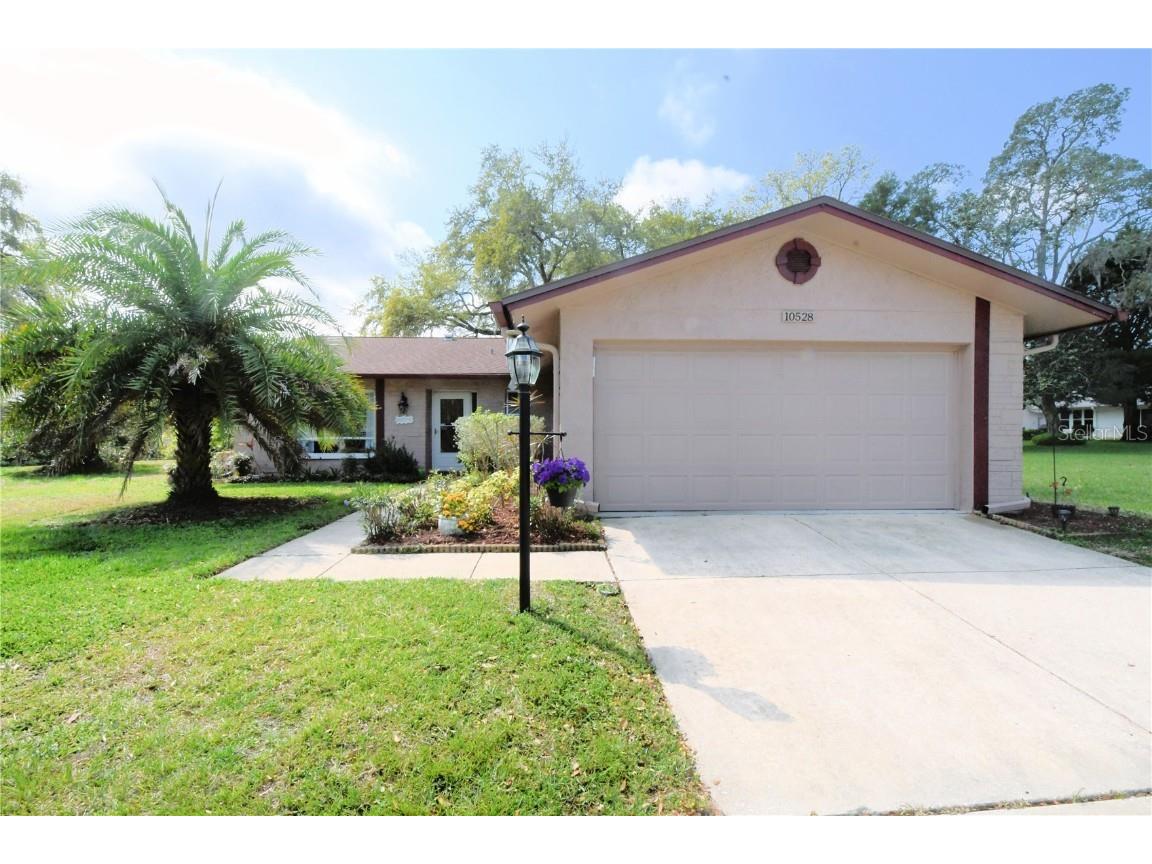 10528 Farnam Court Port Richey FL 34668 U8191869 image1