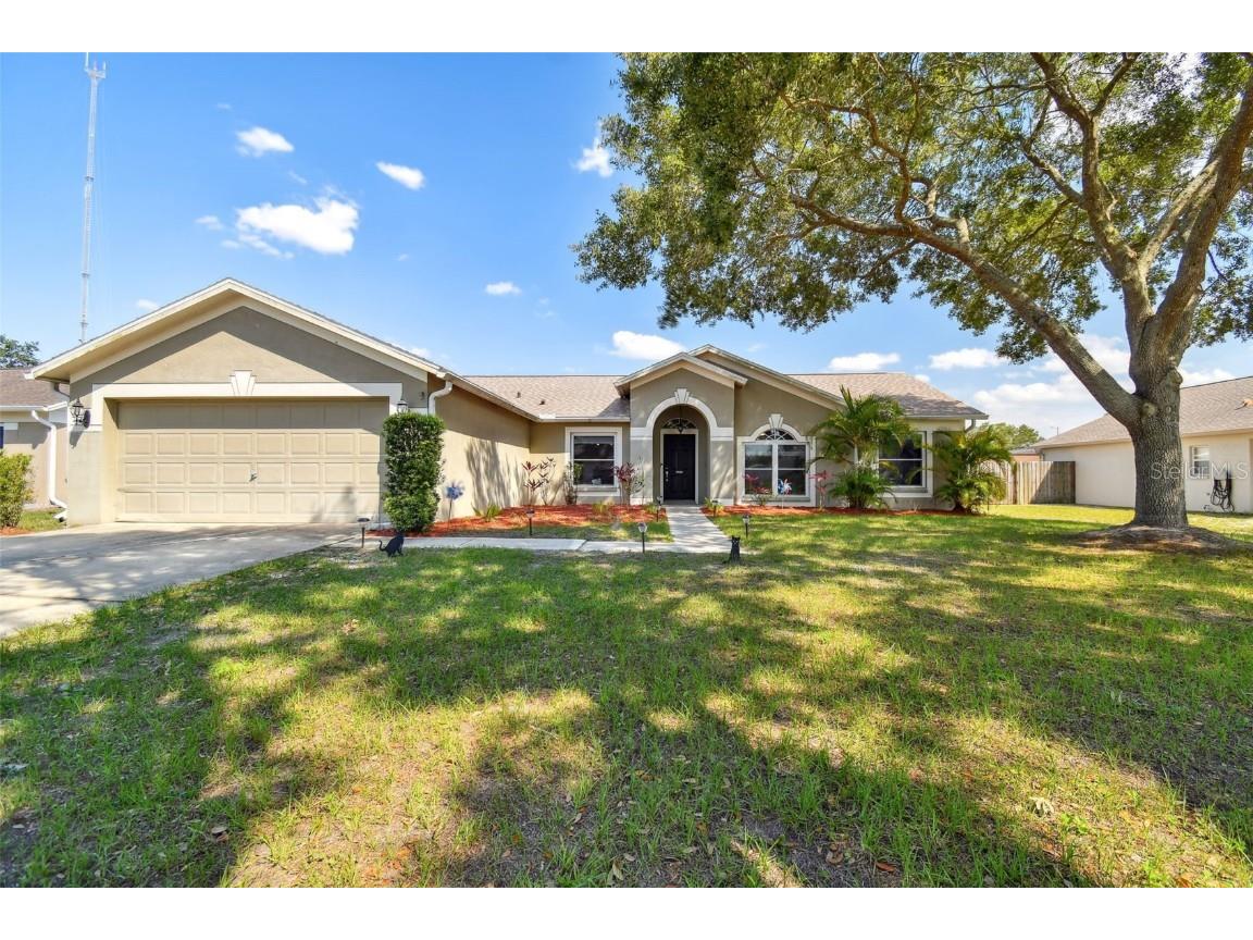 10528 Salisbury Street Riverview FL 33569 U8203302 image1