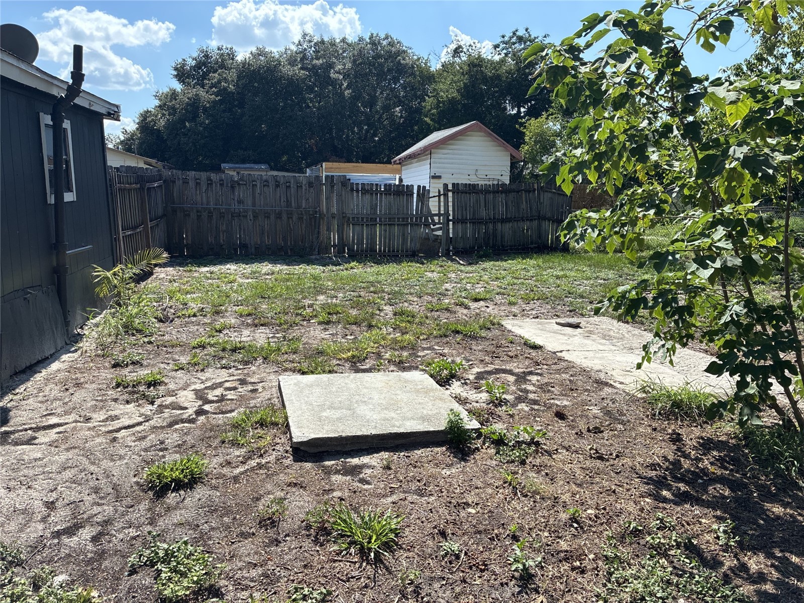 10529 3rd Avenue Ocoee FL 34761 O6423371 image13