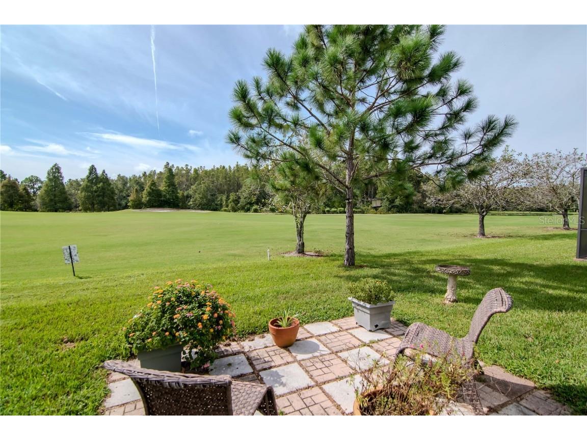 10529 Coral Key Avenue Tampa FL 33647 TB8425884 image28