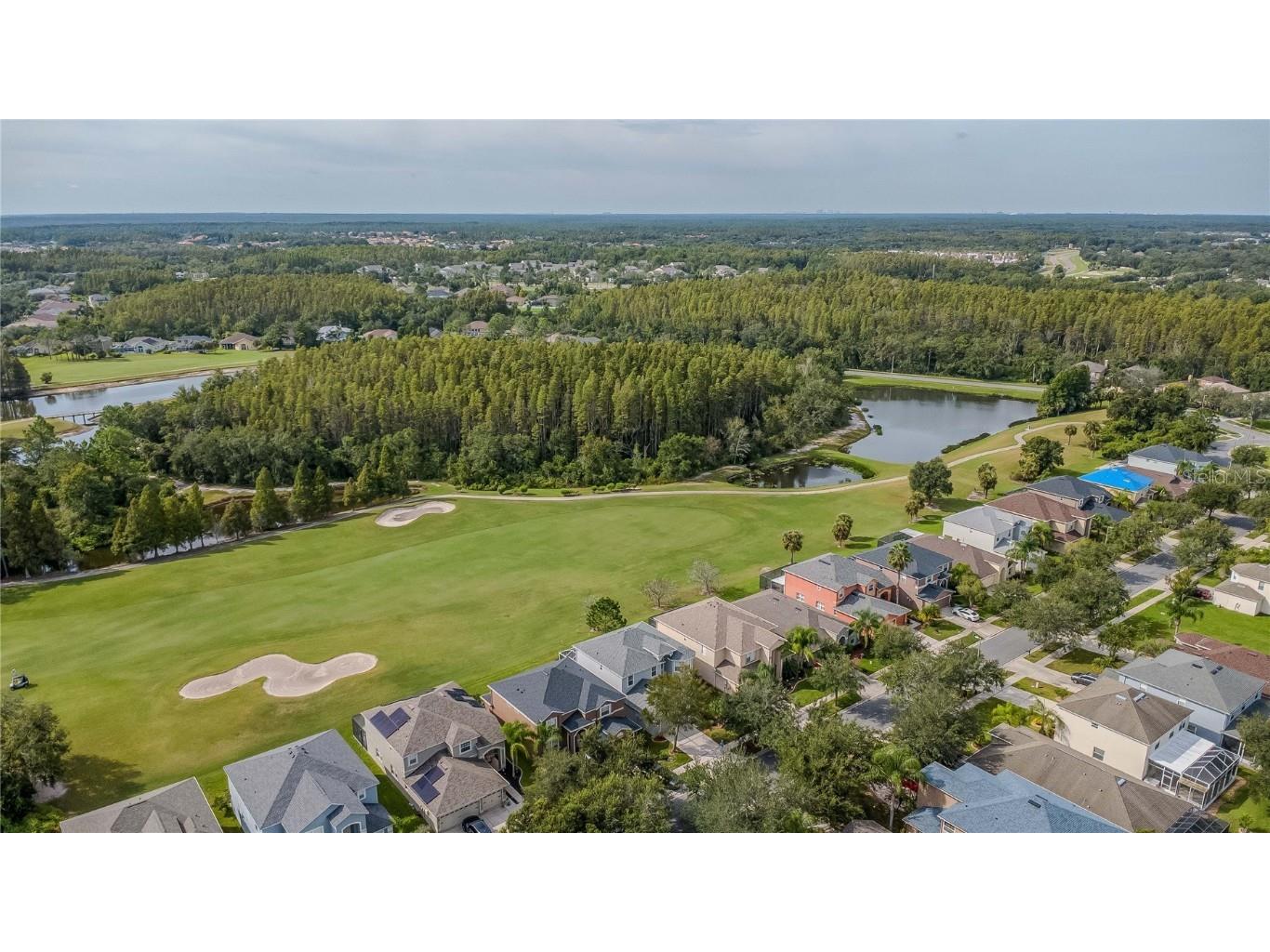 10529 Coral Key Avenue Tampa FL 33647 TB8425884 image40