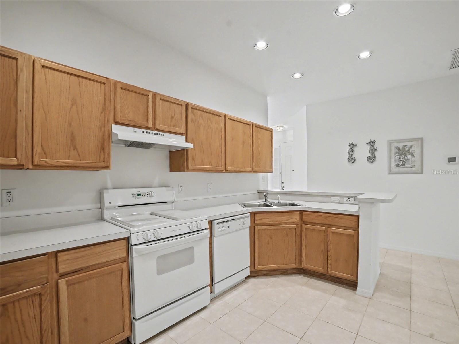 10529 Fire Oak Court Riverview FL 33578 TB8497039 image9
