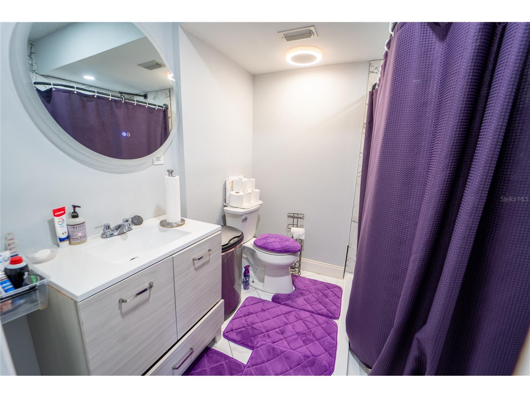 10529 Maronda Drive Riverview FL 33578 TB8474549 image16