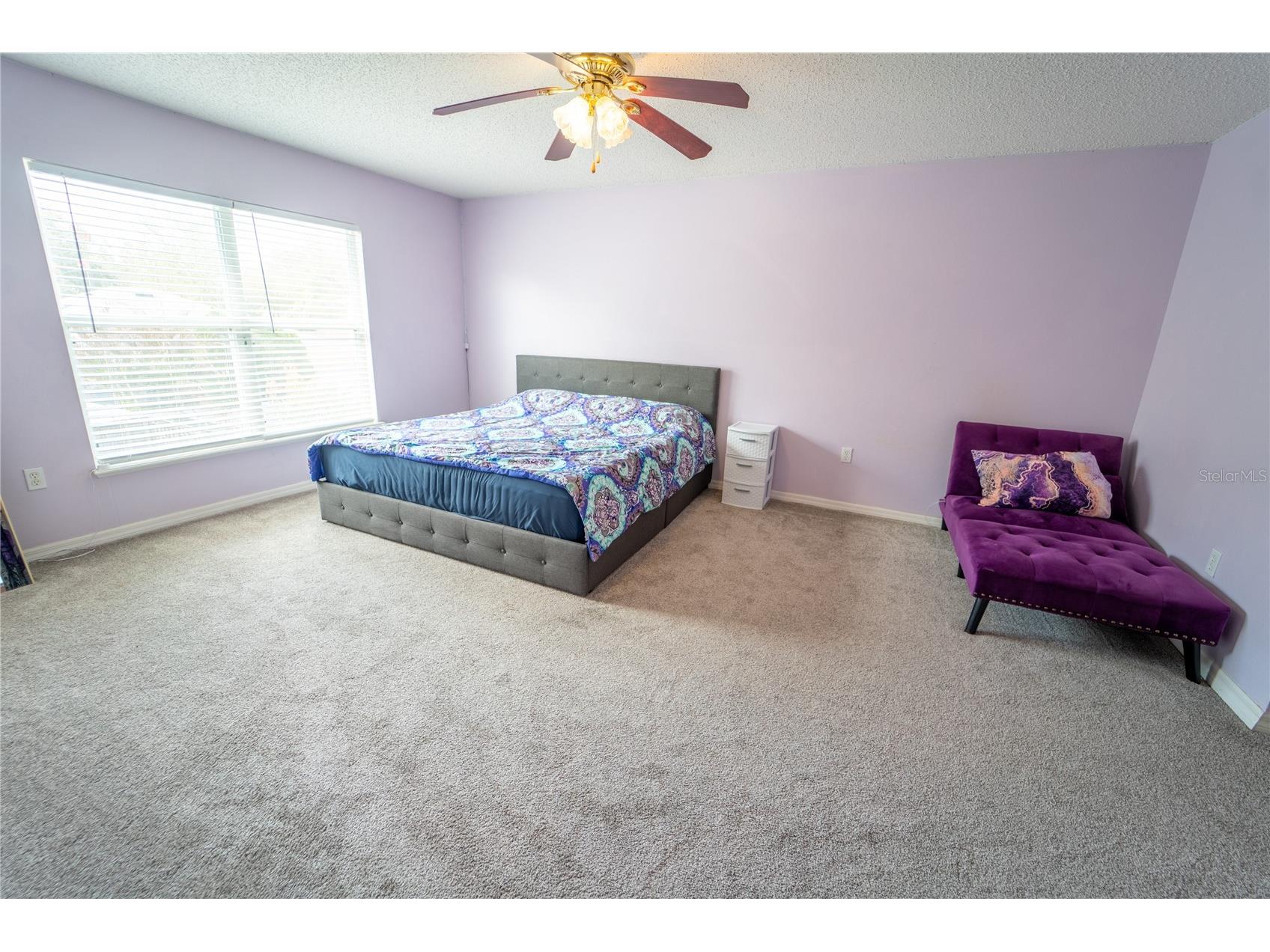 10529 Maronda Drive Riverview FL 33578 TB8474549 image18