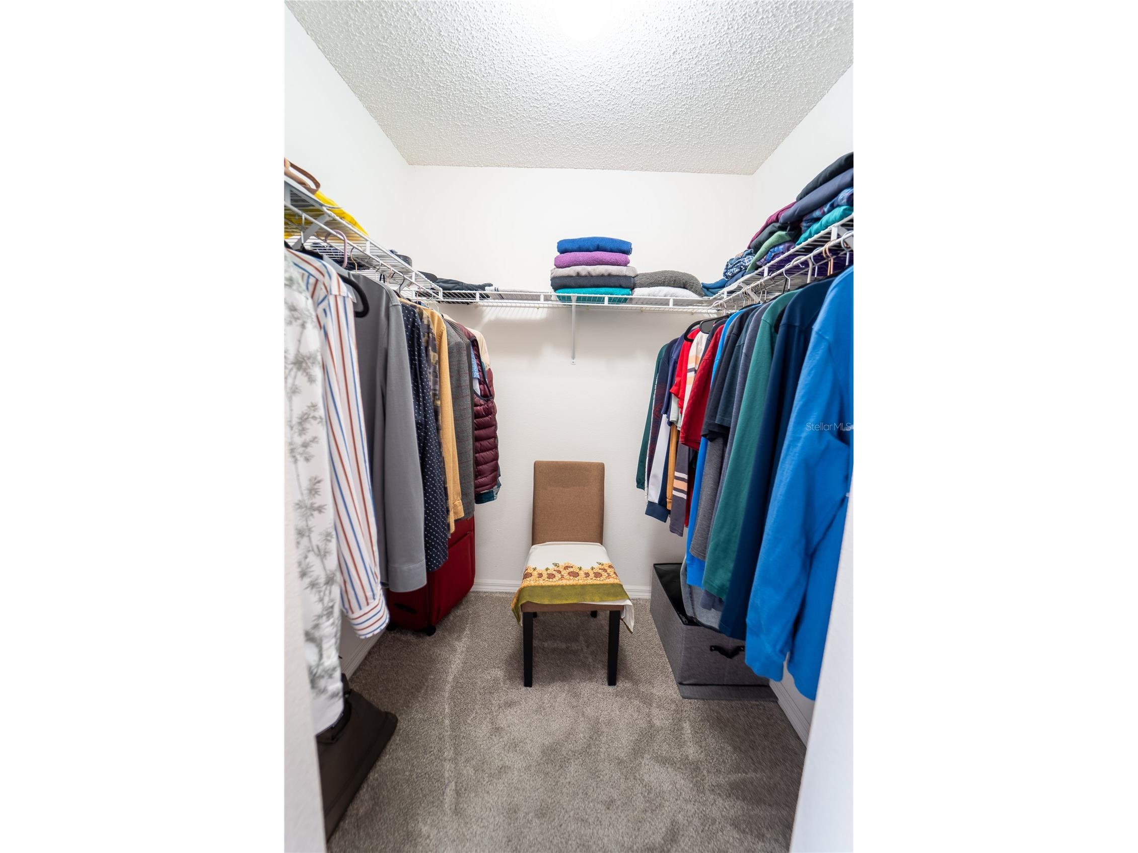 10529 Maronda Drive Riverview FL 33578 TB8474549 image20