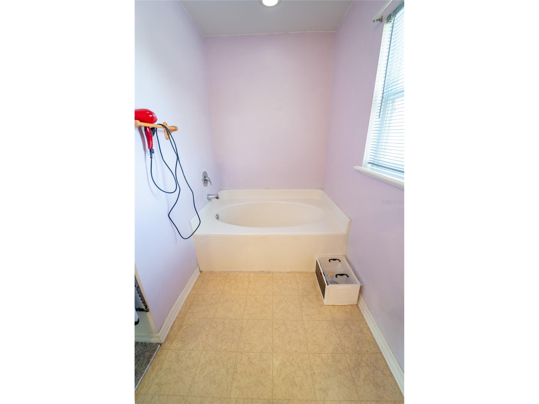10529 Maronda Drive Riverview FL 33578 TB8474549 image21