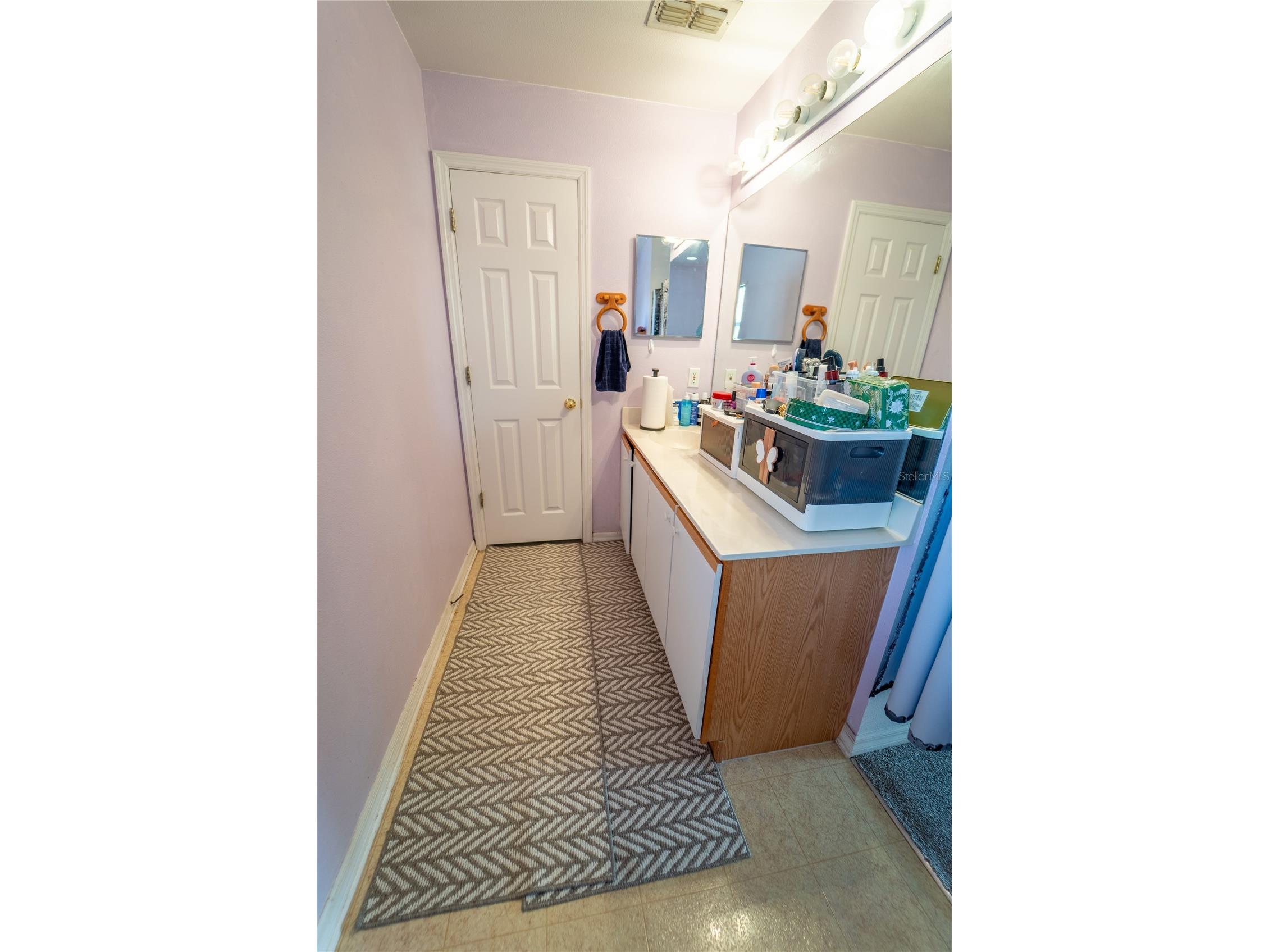 10529 Maronda Drive Riverview FL 33578 TB8474549 image22