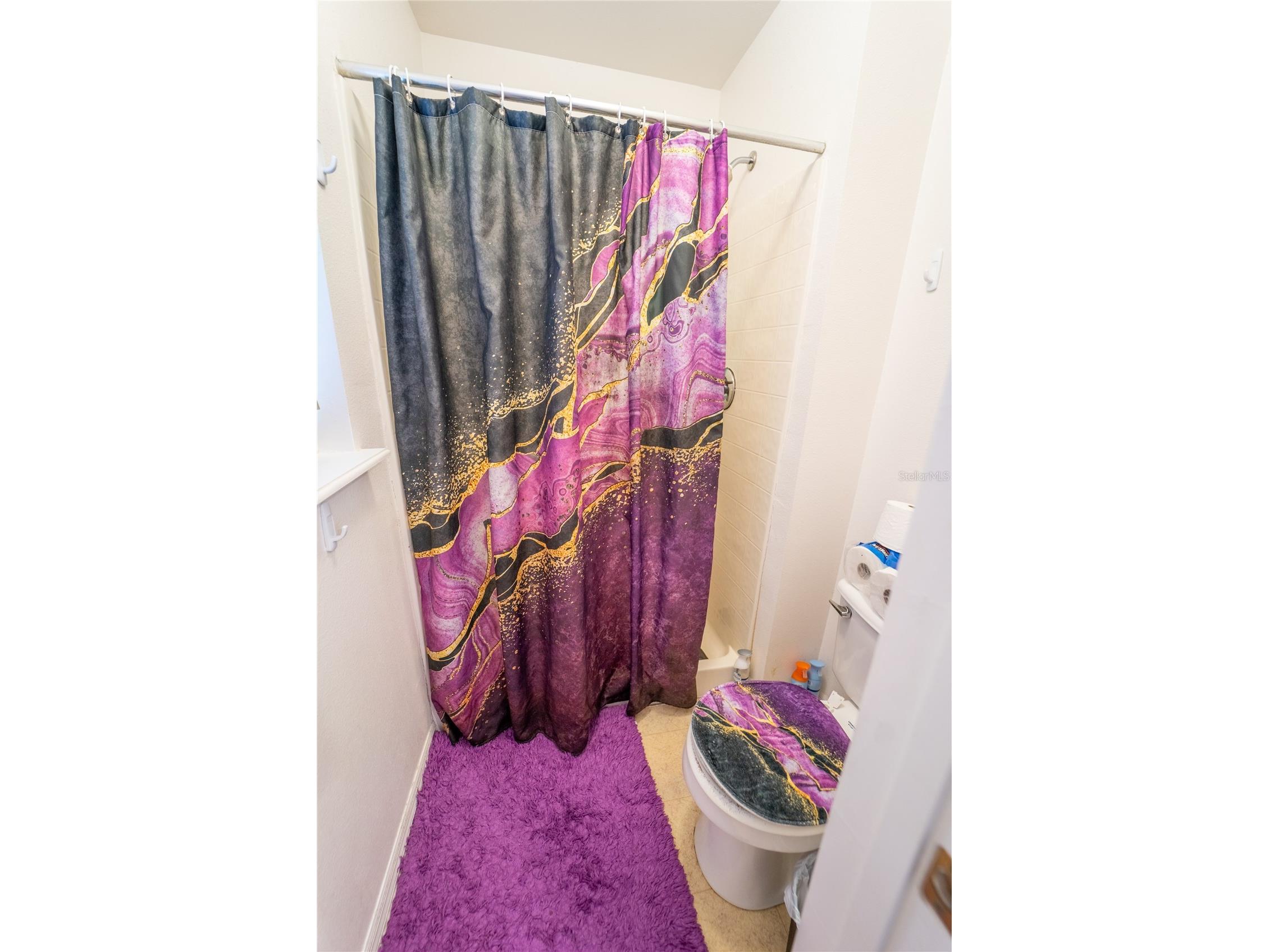 10529 Maronda Drive Riverview FL 33578 TB8474549 image23