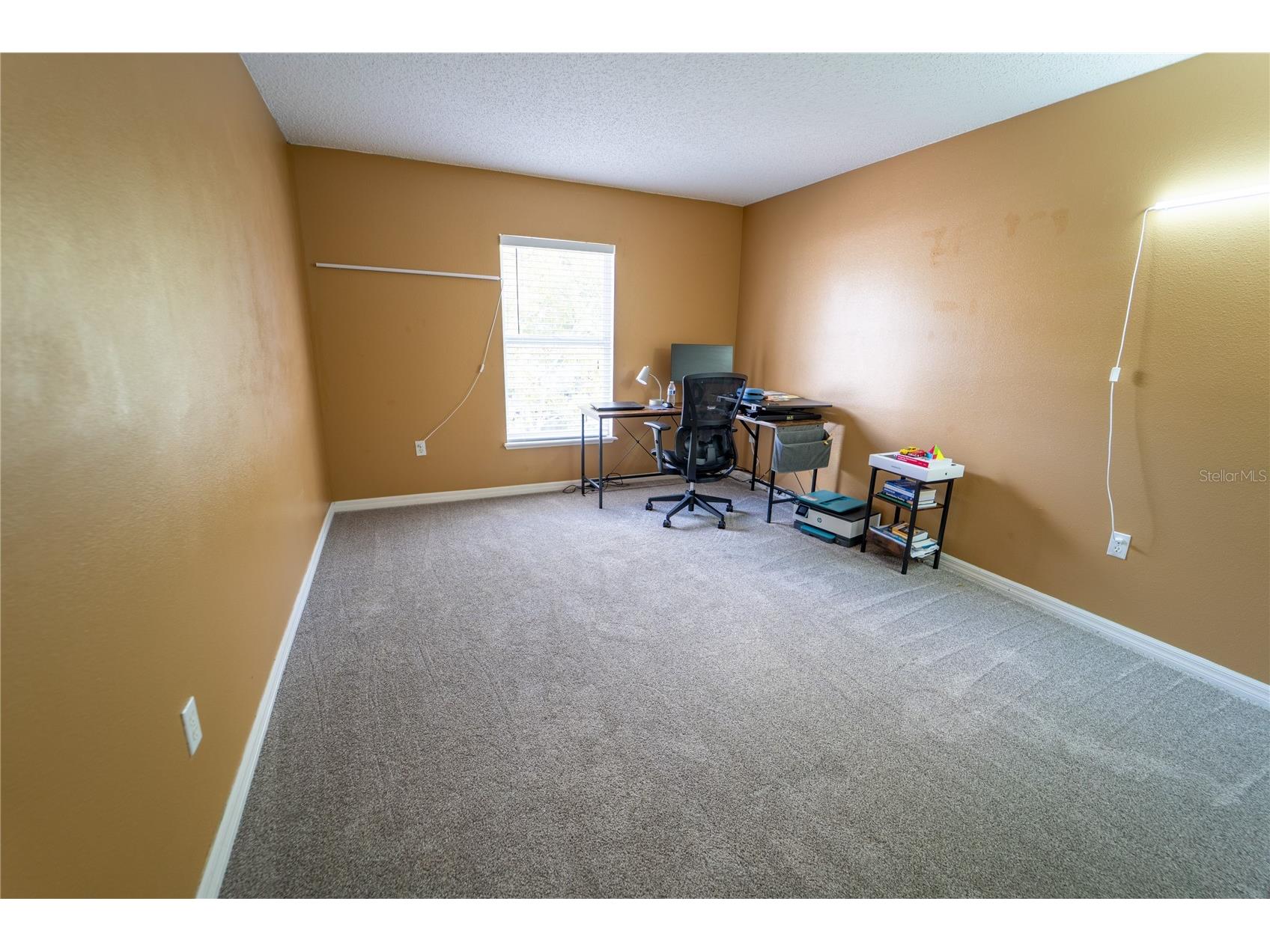 10529 Maronda Drive Riverview FL 33578 TB8474549 image26