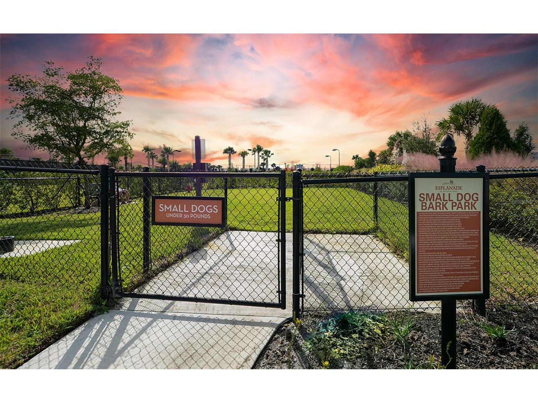 10529 Wicker Park Place Palmetto FL 34221 A4677965 image72