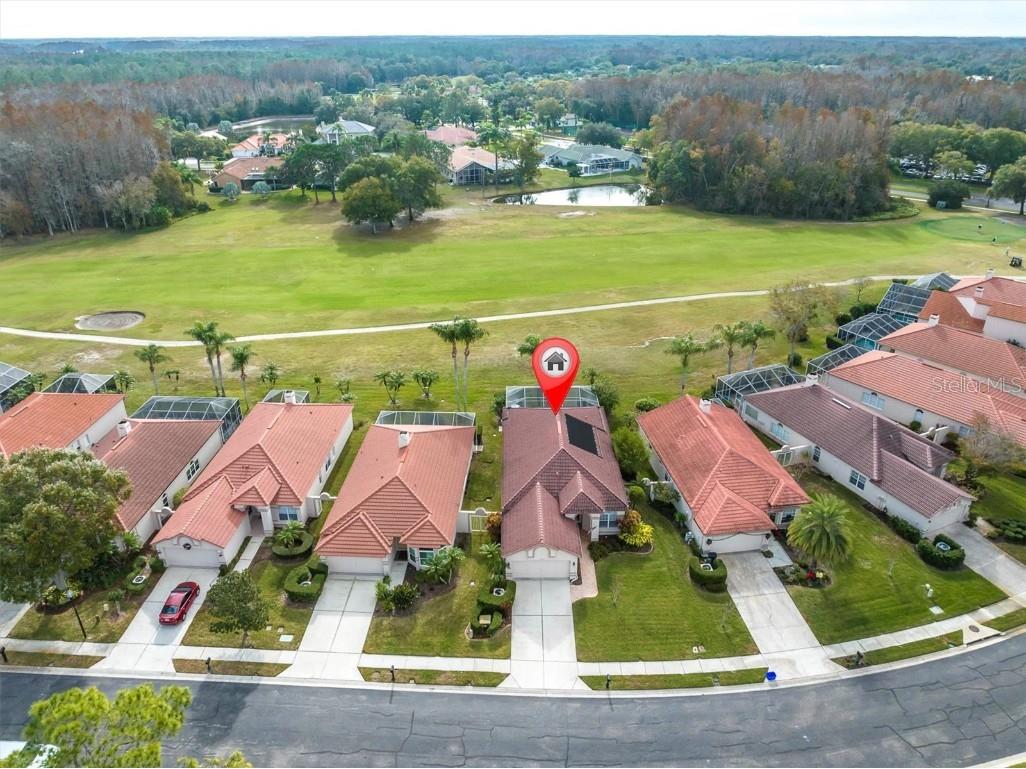 1053 Dartford Drive Tarpon Springs FL 34688 U8224864 image1