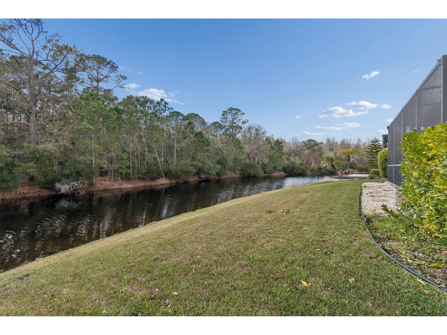 1053 Ketzal Drive Trinity FL 34655 - PRESERVE/POND TB8477343 image45
