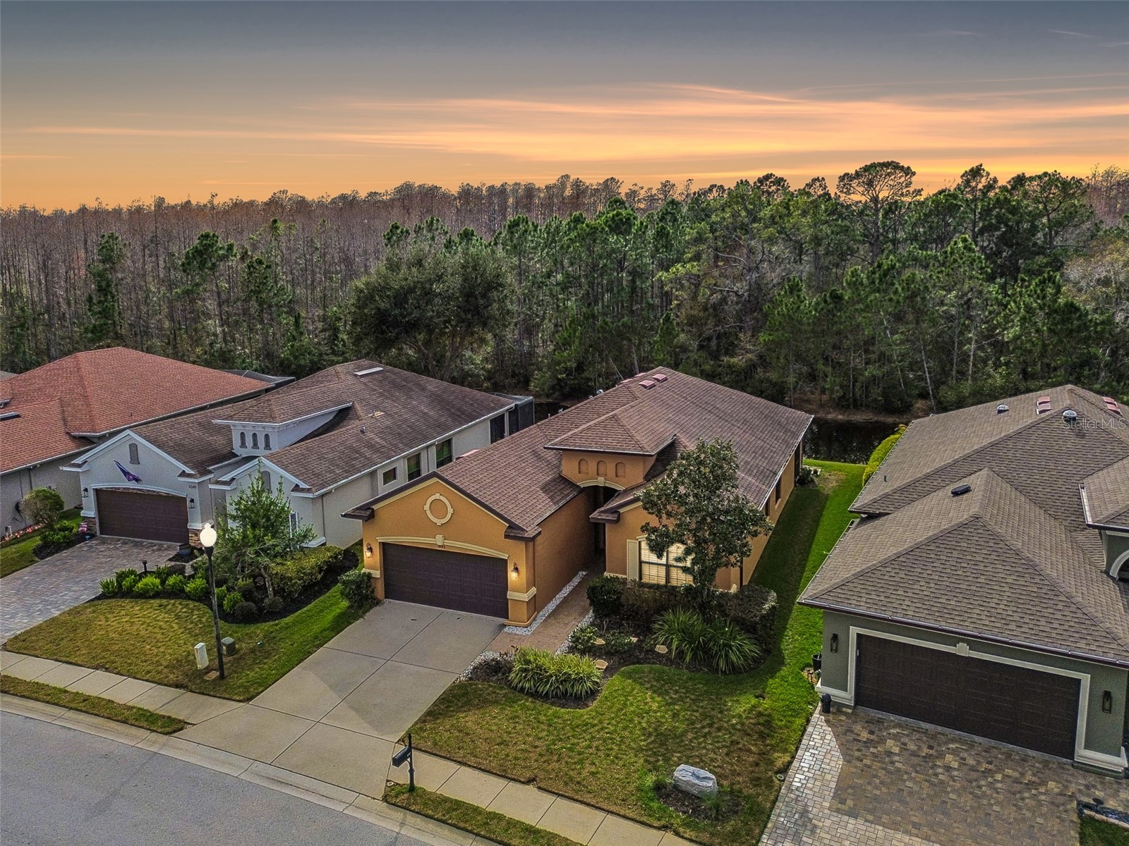 1053 Ketzal Drive Trinity FL 34655 - PRESERVE/POND TB8477343 image52