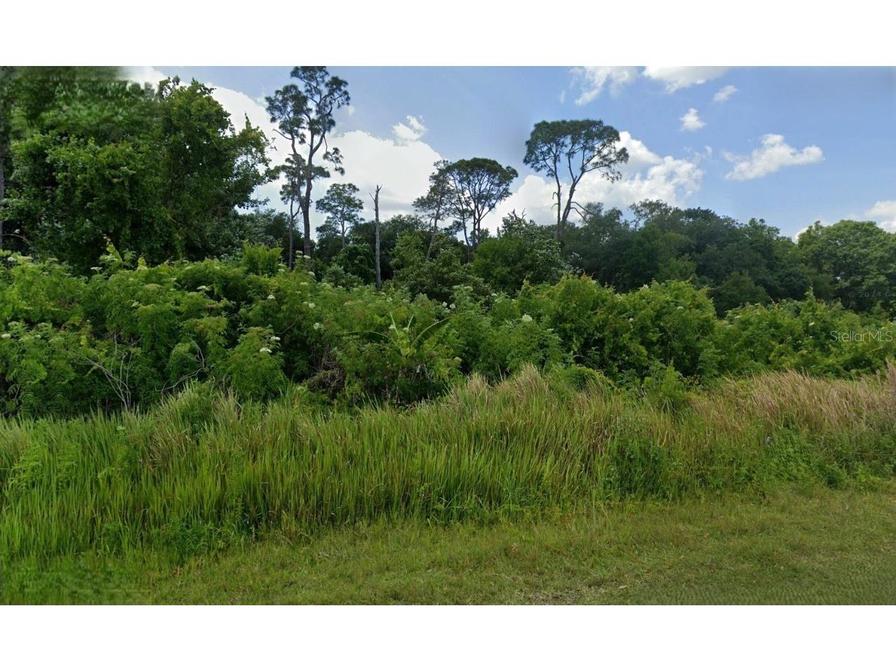 1053 Lake Carrie Drive Lake Placid FL 33852 O6299126 image1