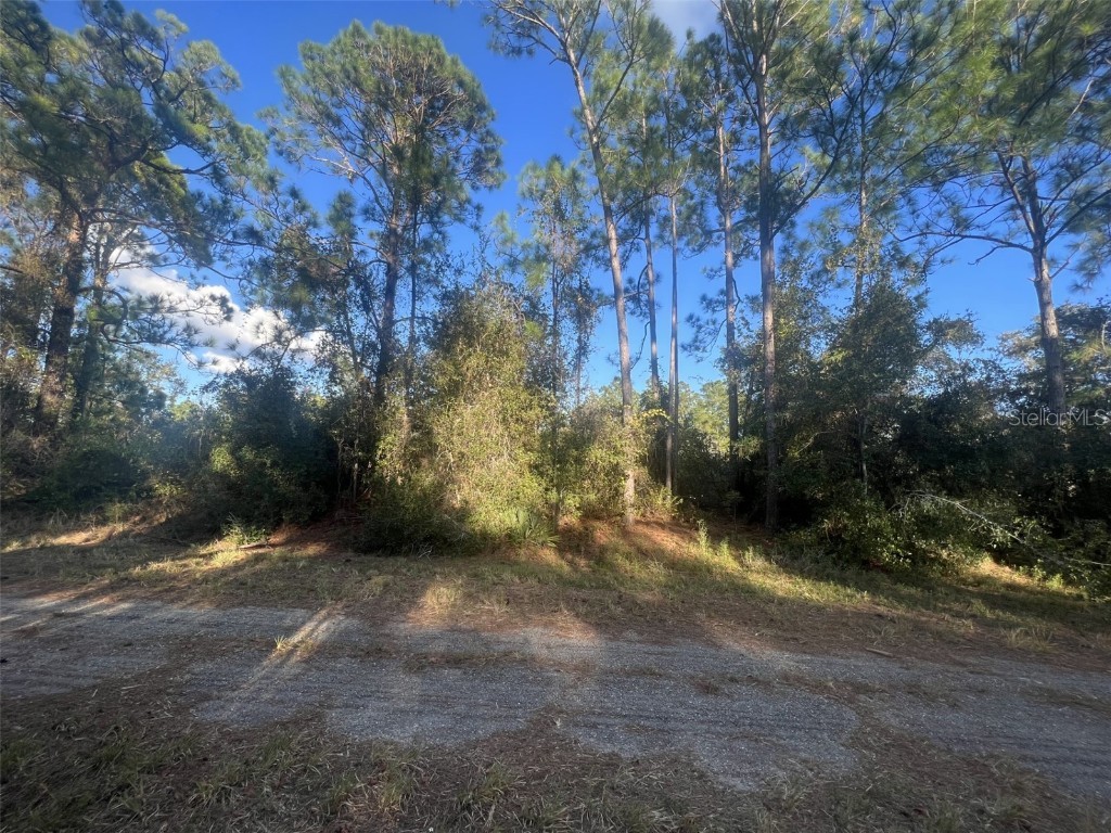 1053 Robin Street Lake Placid FL 33852 T3484993 image1