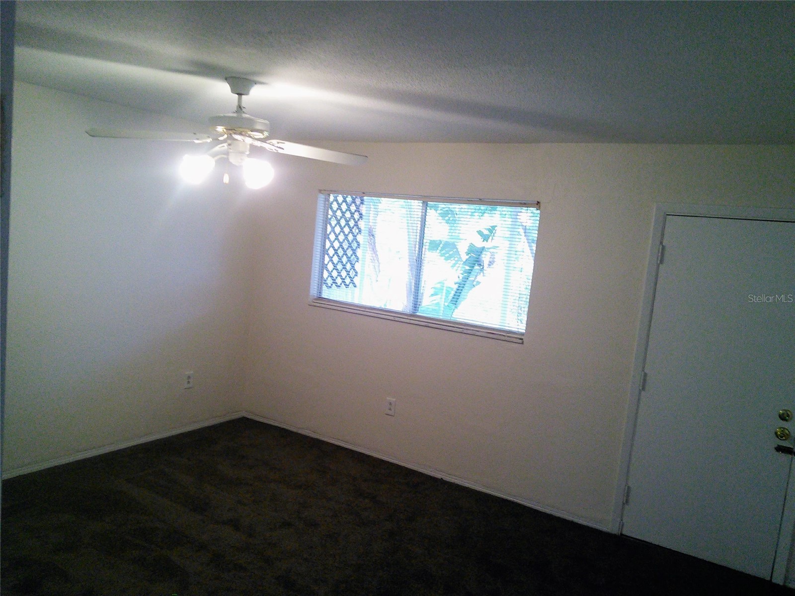 10530 68th Avenue Seminole FL 33772 TB8499381 image3