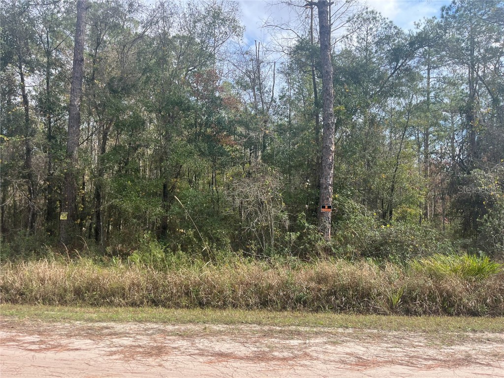 10530 Gregory Ave Hastings FL 32145 FC314541 image1