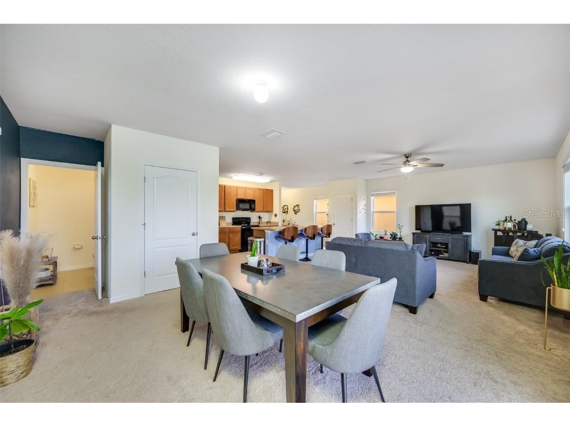 10530 Whispering Hammock Drive Riverview FL 33578 TB8421112 image12