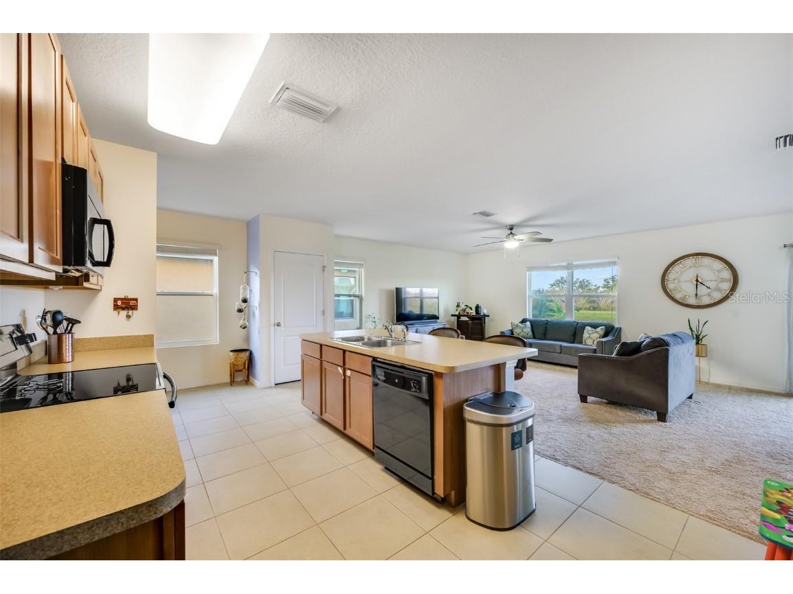 10530 Whispering Hammock Drive Riverview FL 33578 TB8421112 image7