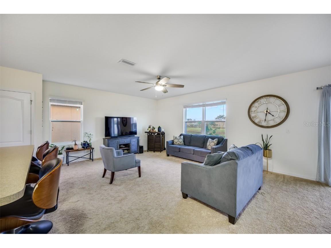 10530 Whispering Hammock Drive Riverview FL 33578 TB8421112 image8