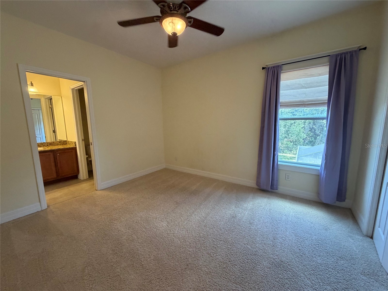 10531 Mistflower Lane Tampa FL 33647 TB8521214 image11