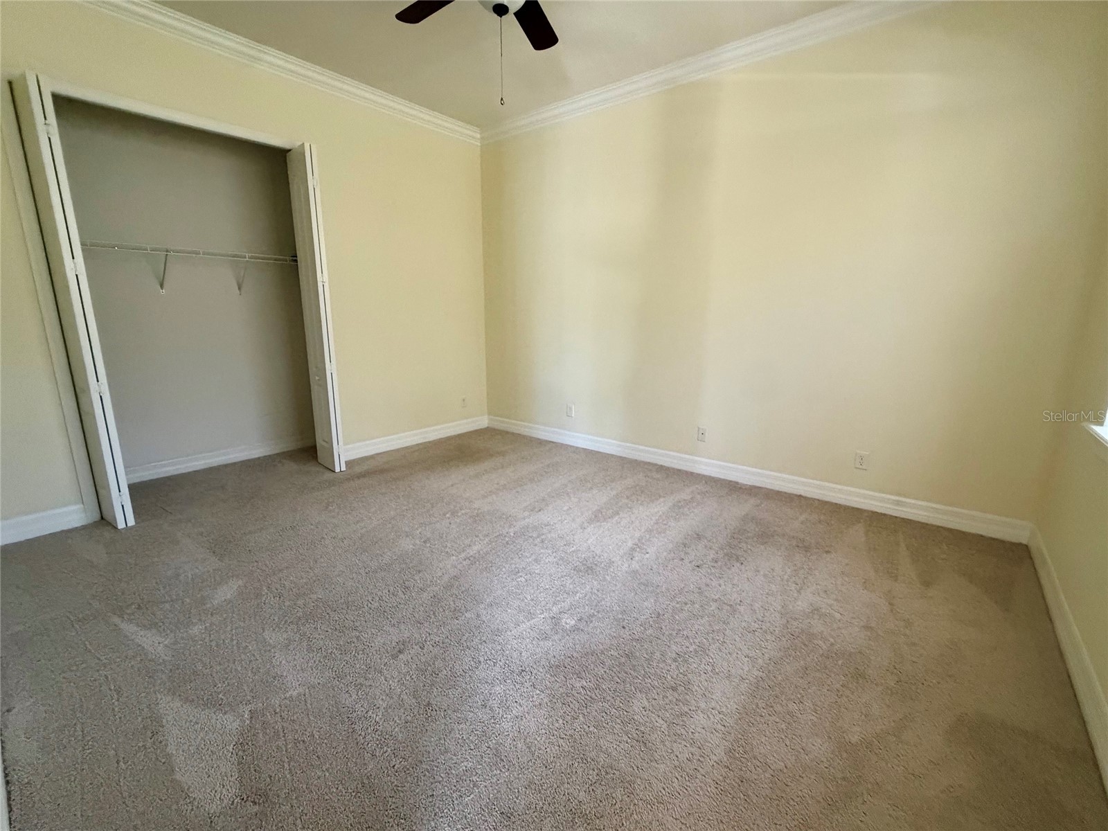 10531 Mistflower Lane Tampa FL 33647 TB8521214 image12