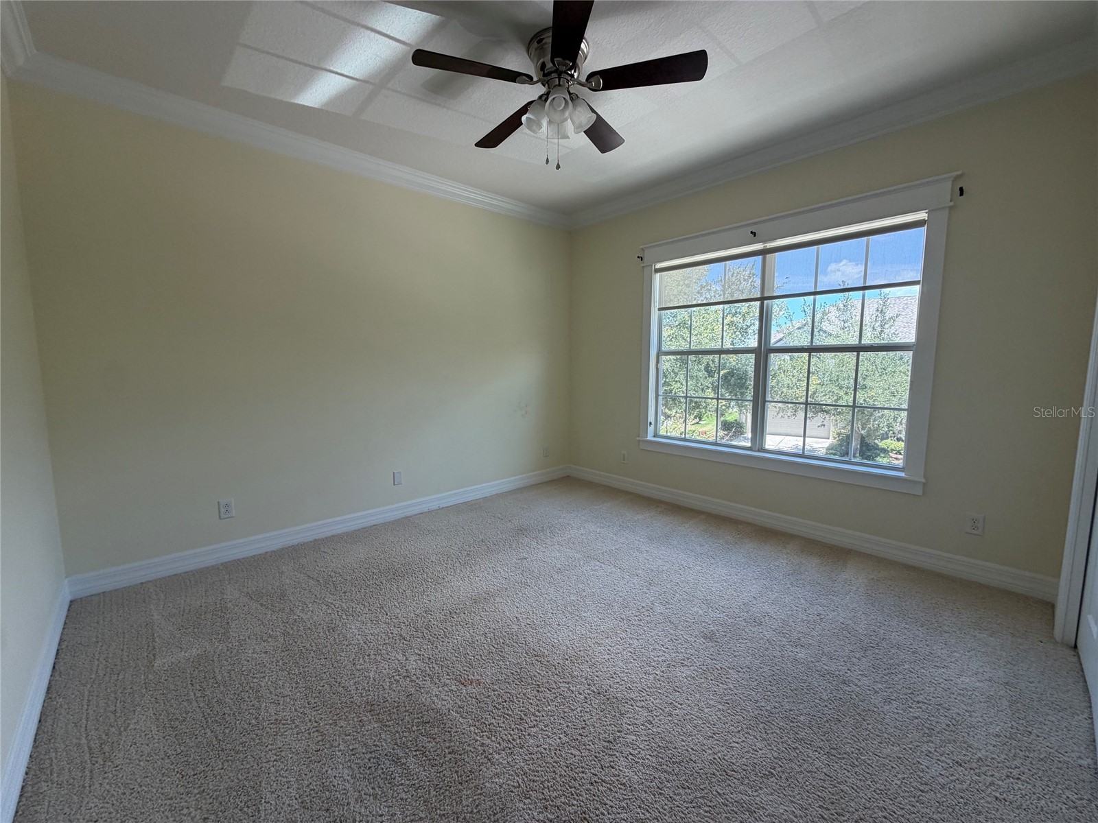 10531 Mistflower Lane Tampa FL 33647 TB8521214 image14