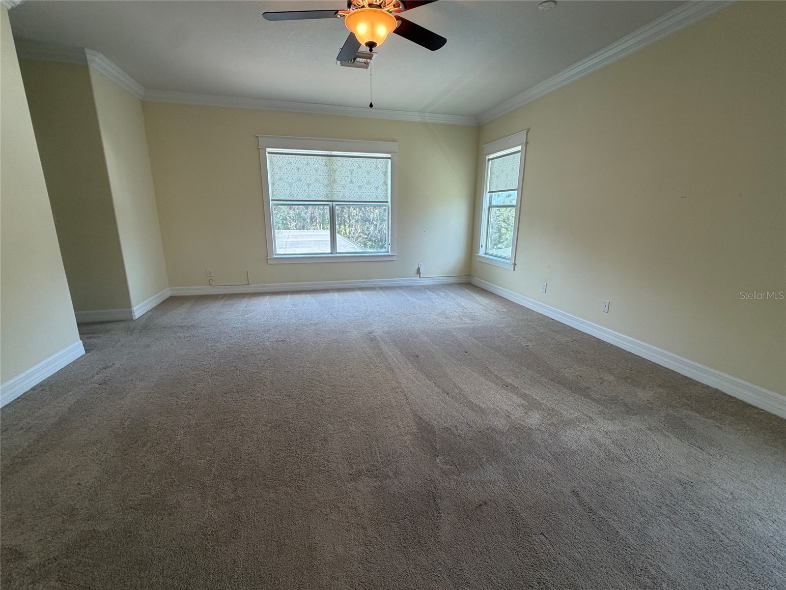 10531 Mistflower Lane Tampa FL 33647 TB8521214 image7