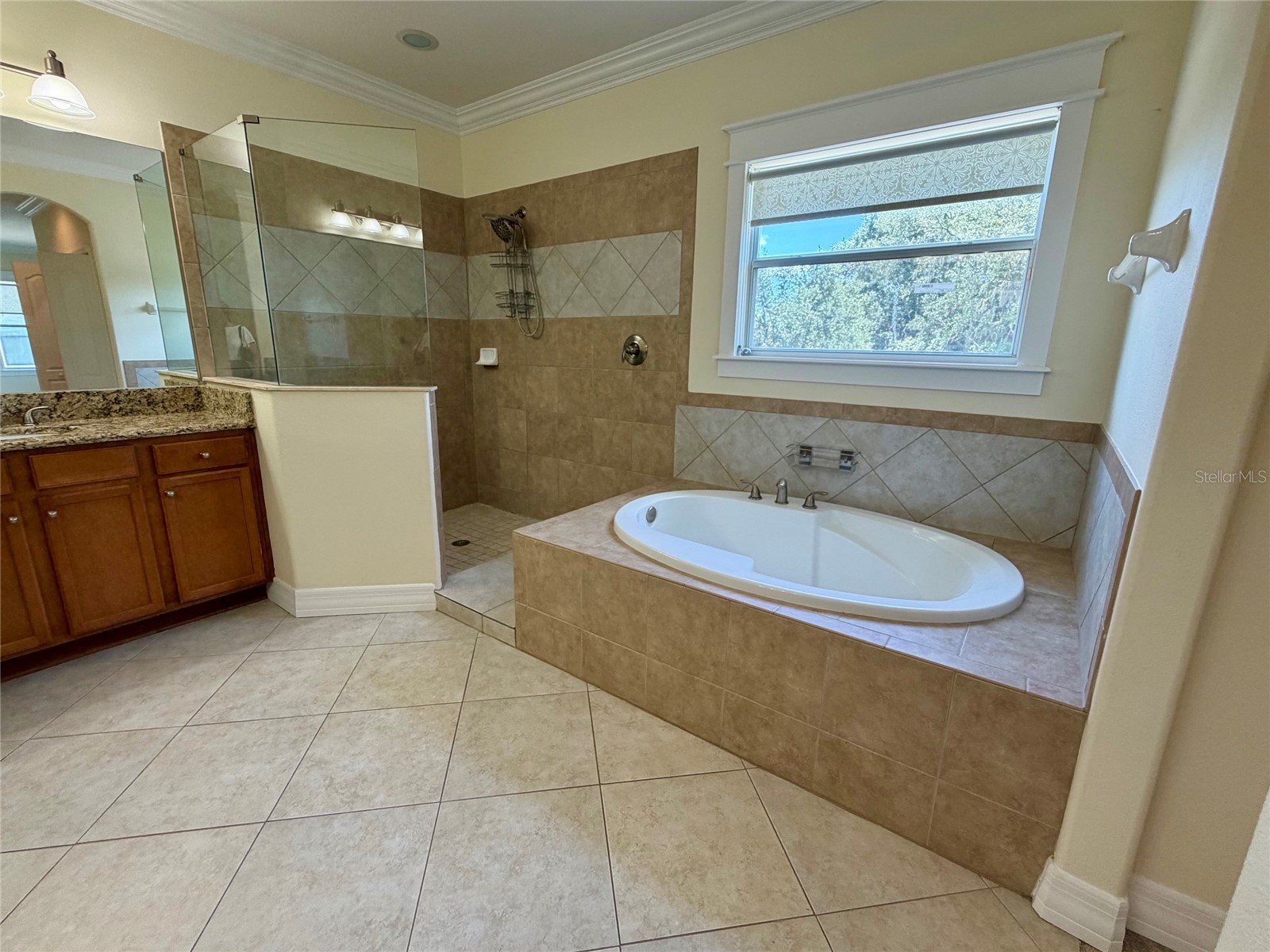 10531 Mistflower Lane Tampa FL 33647 TB8521214 image9