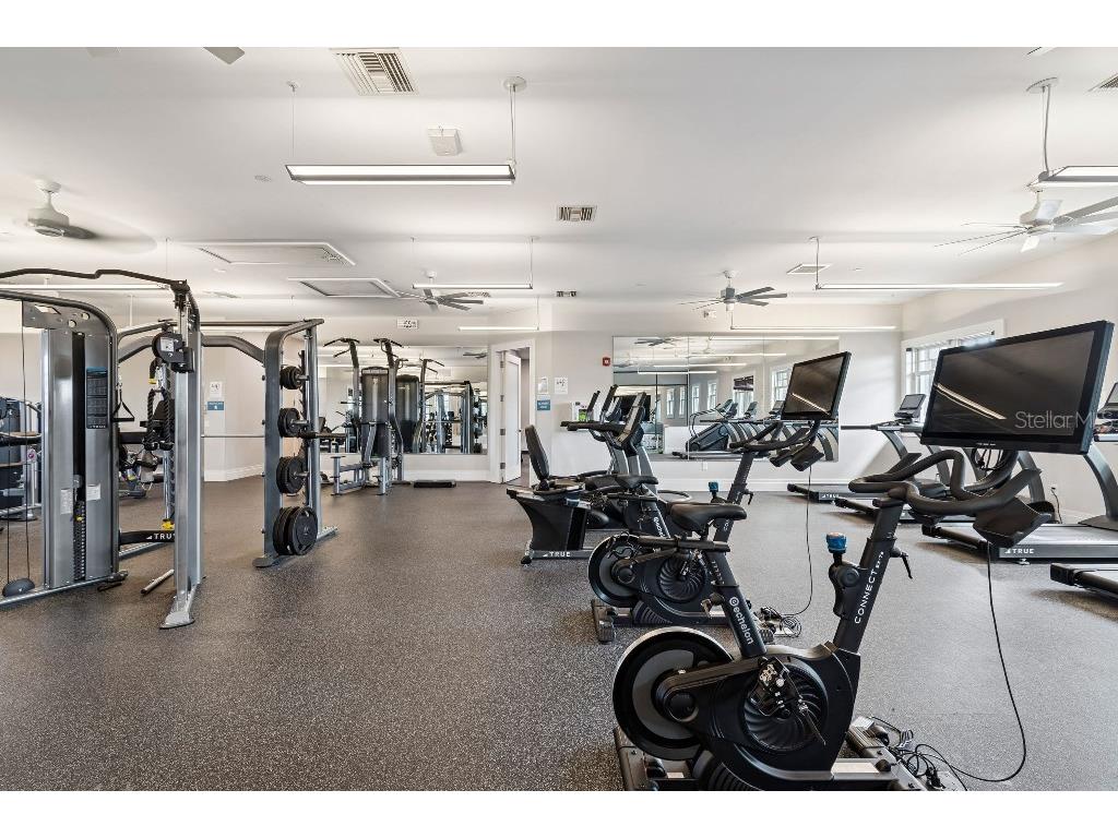 10531 Piedra Drive Palmetto FL 34221 TB8516637 image46