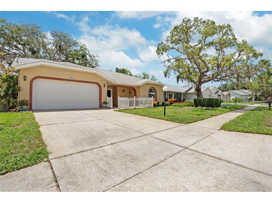 10531 Quimby Drive Port Richey FL 34668 W7865924 image1