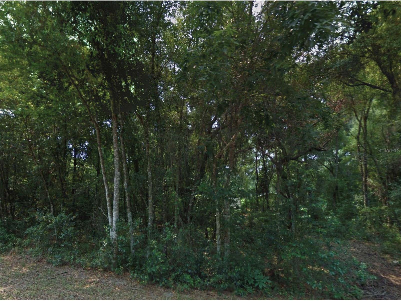 10534 E Waxwing Lane Floral City FL 34436 O6422236 image1