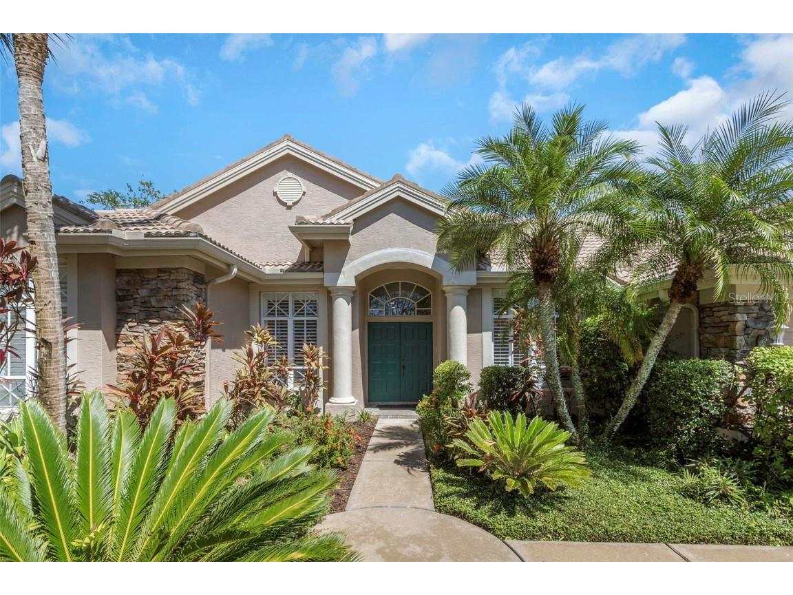 10534 Greencrest Drive Tampa FL 33626 T3475119 image1