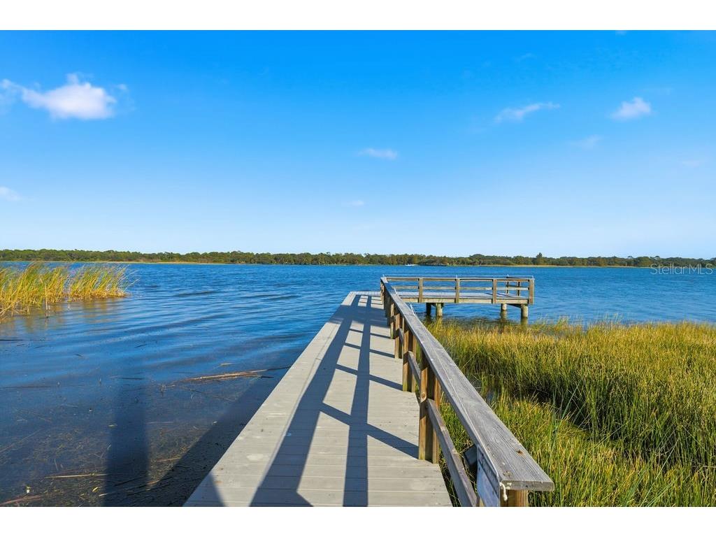 10534 Lake Seminole Terrace Seminole FL 33772 A4671667 image85