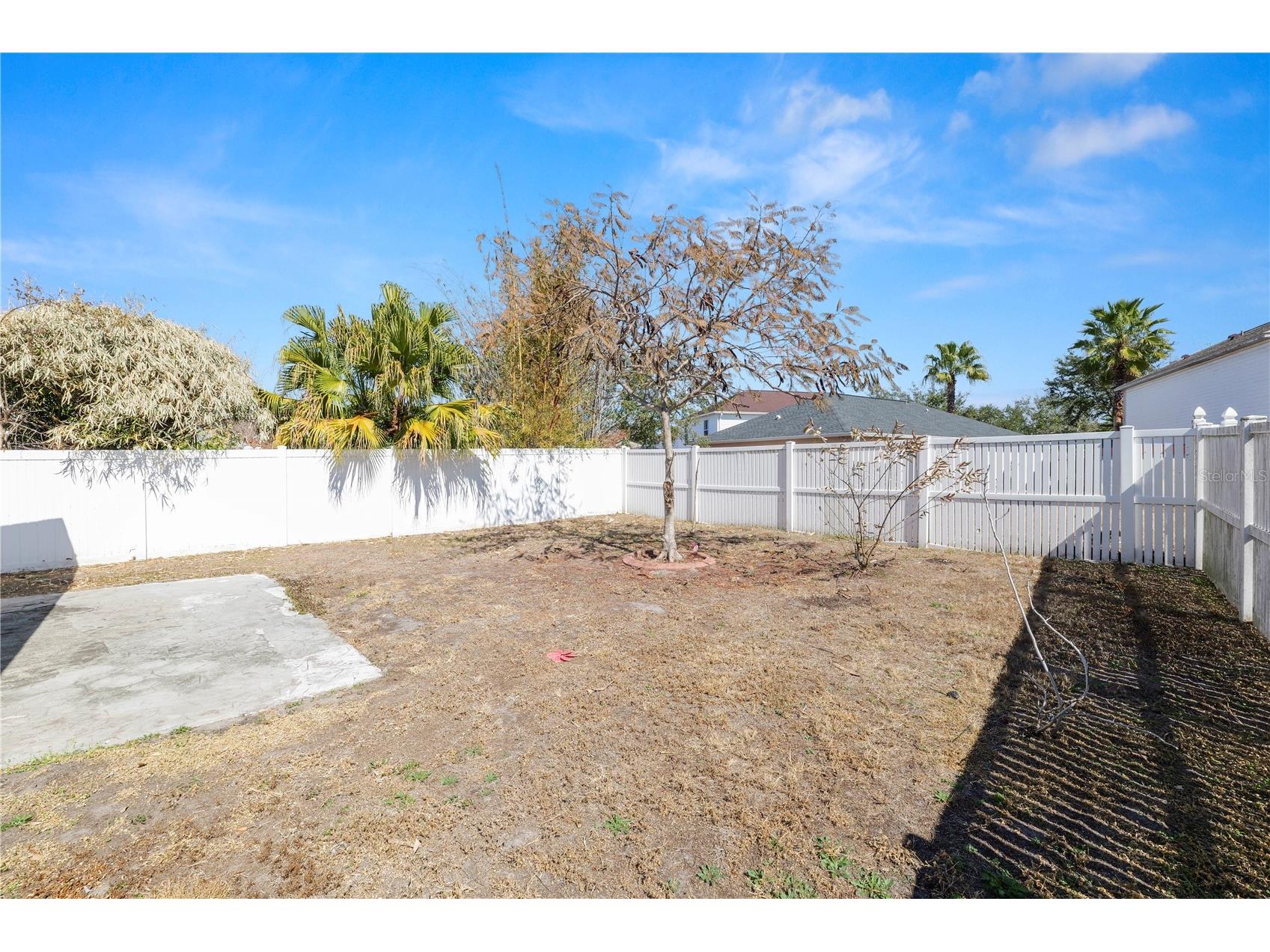 10534 Opus Drive Riverview FL 33579 L4959520 image26