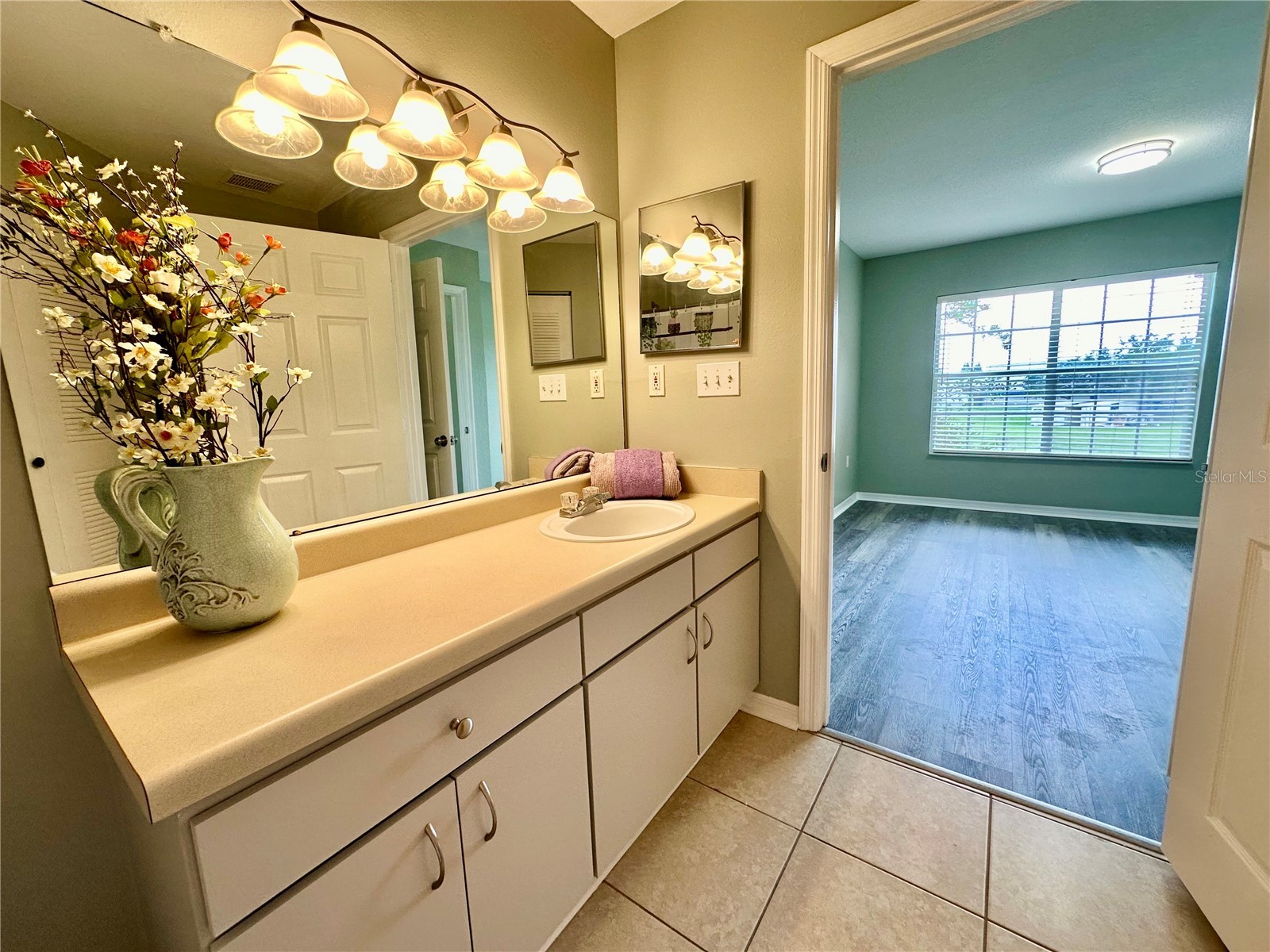 10534 White Lake Court #10534 Tampa FL 33626 TB8482498 image11