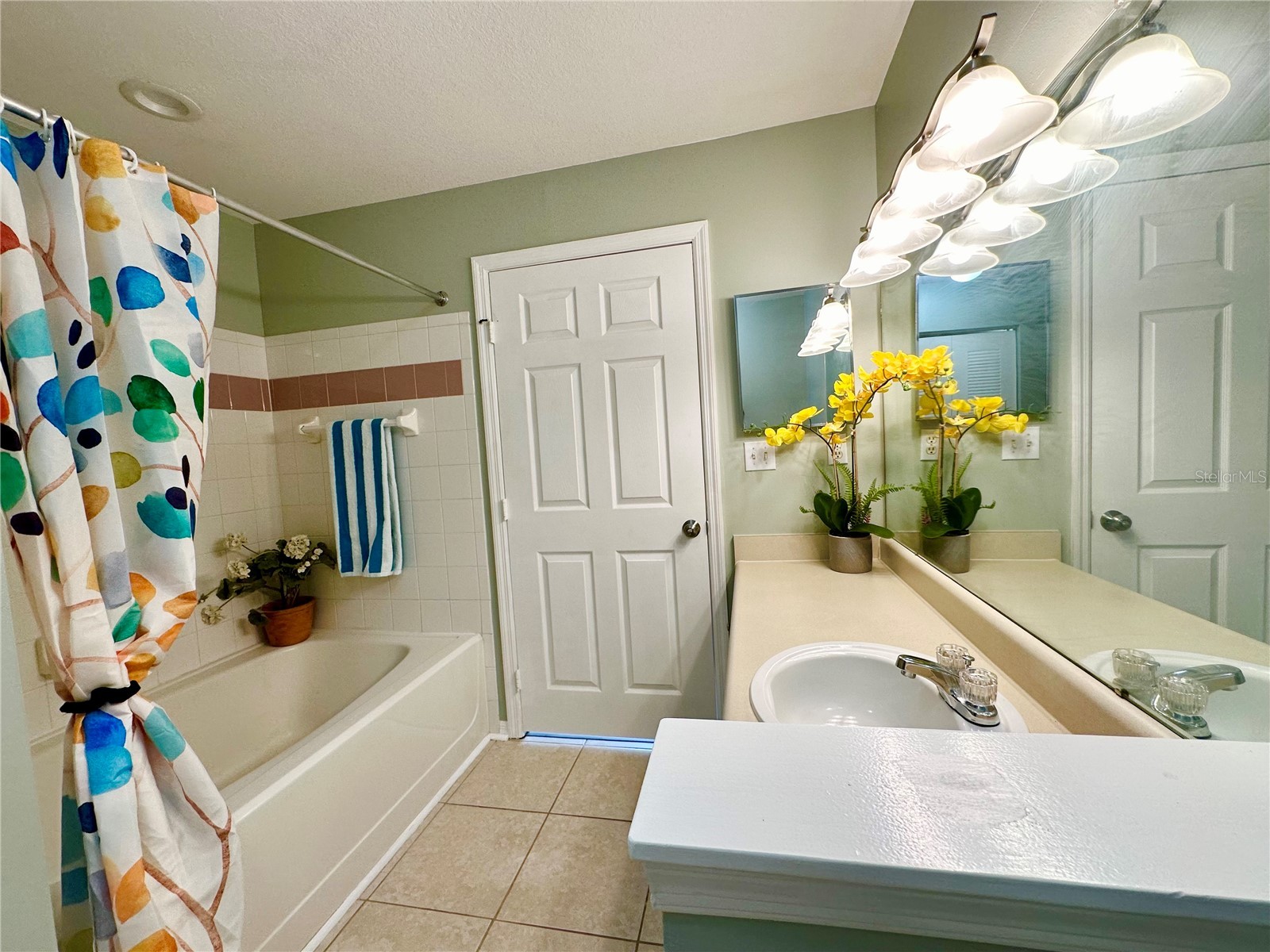 10534 White Lake Court #10534 Tampa FL 33626 TB8482498 image12