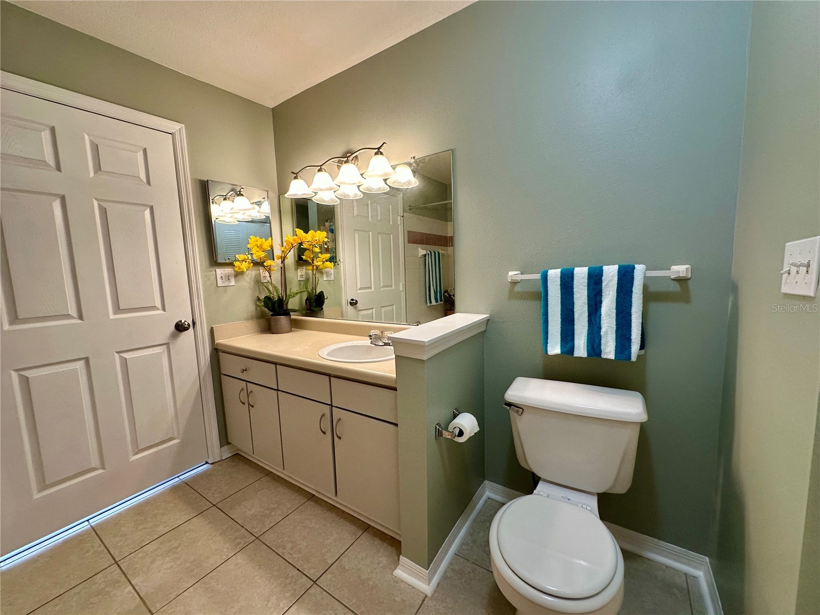 10534 White Lake Court #10534 Tampa FL 33626 TB8482498 image13