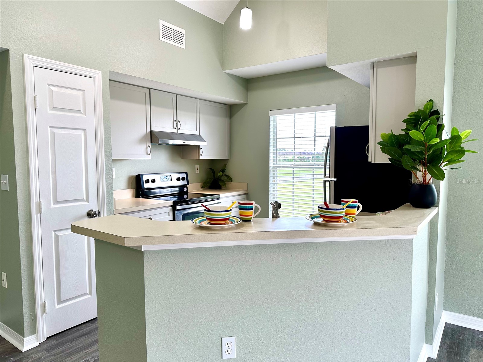 10534 White Lake Court #10534 Tampa FL 33626 TB8482498 image2