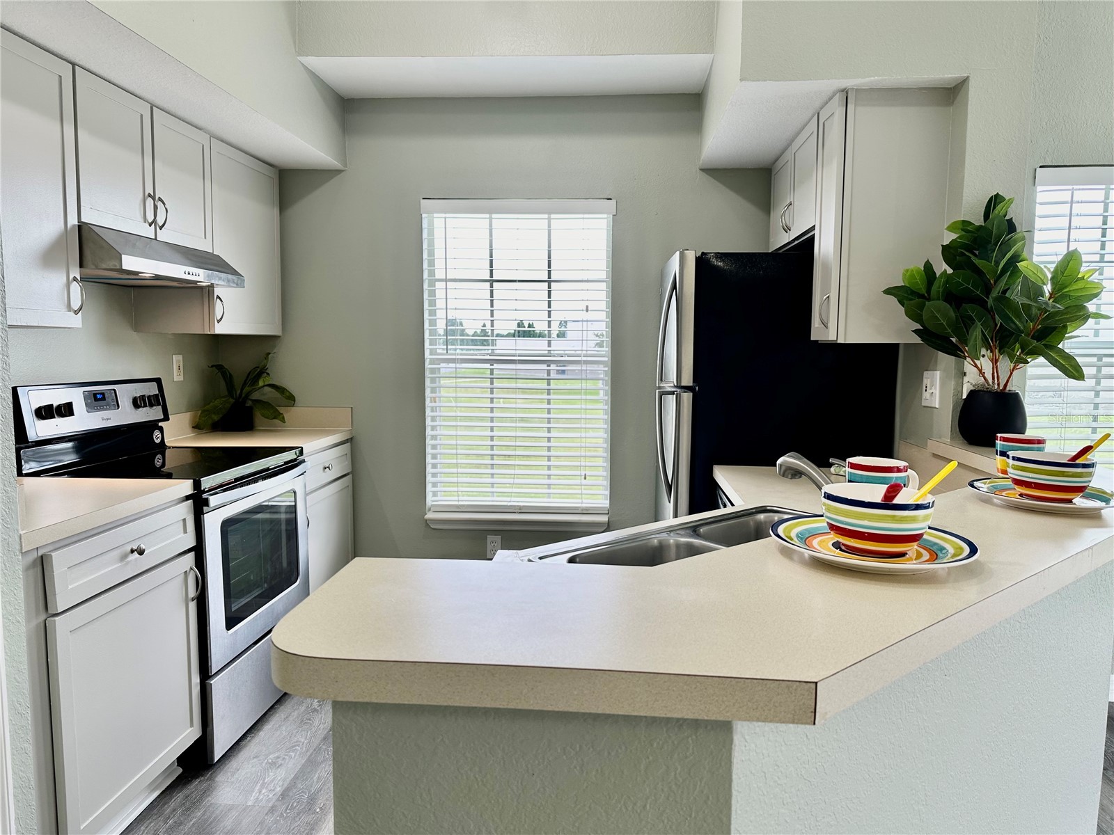 10534 White Lake Court #10534 Tampa FL 33626 TB8482498 image3